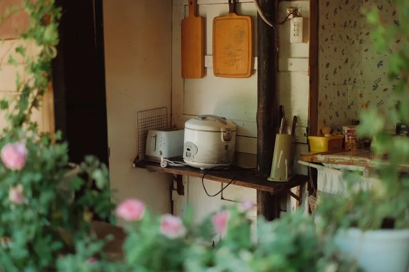 Rice cooker with cooked rice in a family kitchen