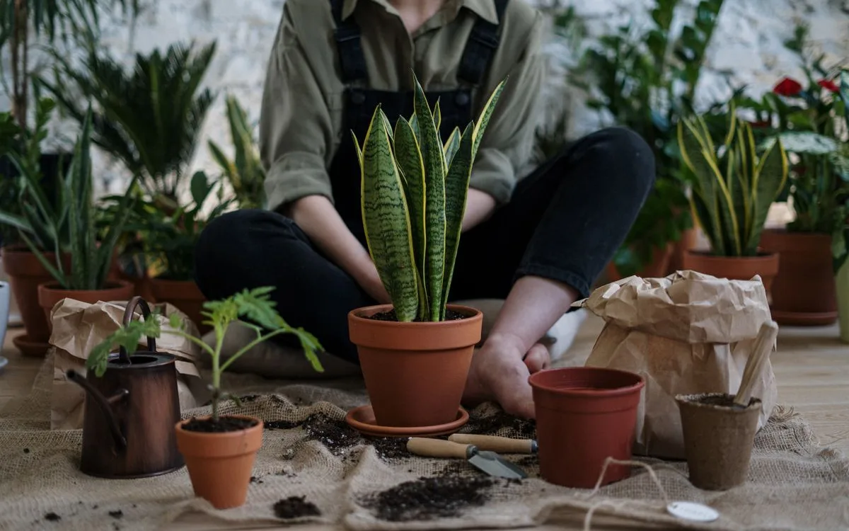Jardineras con flores y plantas en un balcón